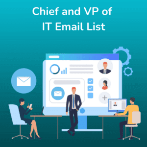 Chief and VP of IT Email List