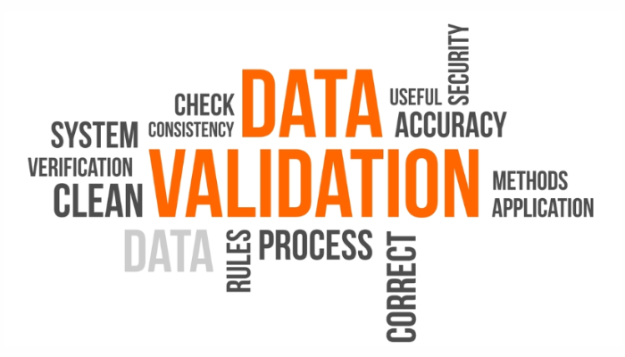 Data Validation Leadsprospex